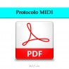 Midi 2