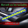 Teclados